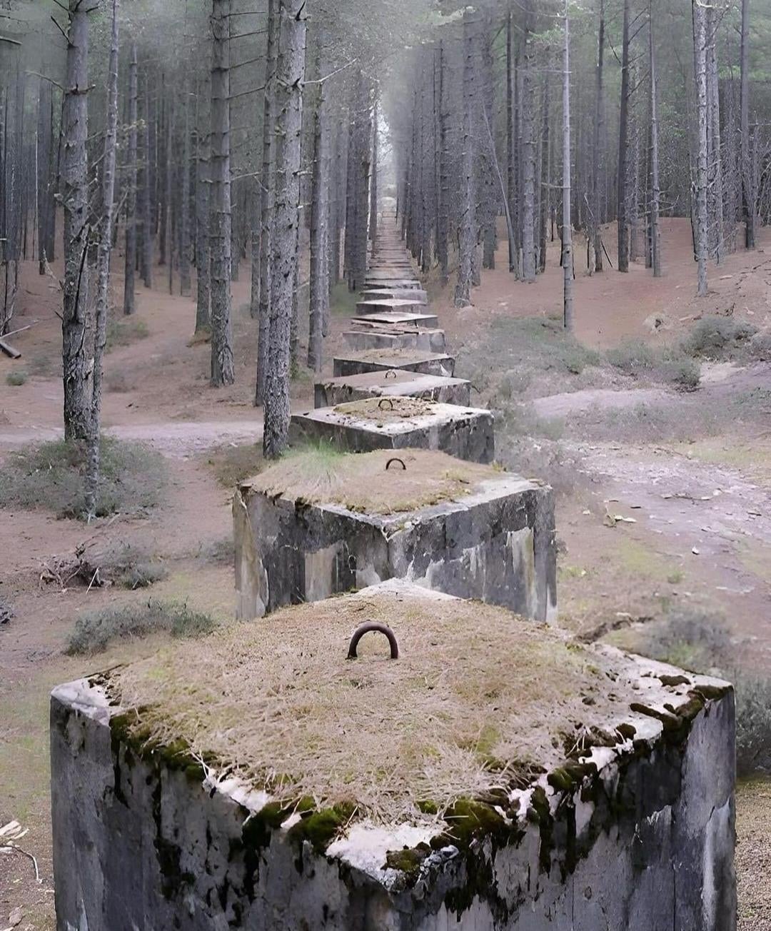 barricade shooting techniques