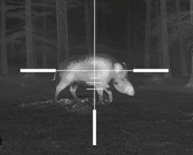 Best Thermal Scopes Under $3000 for Hog Hunting