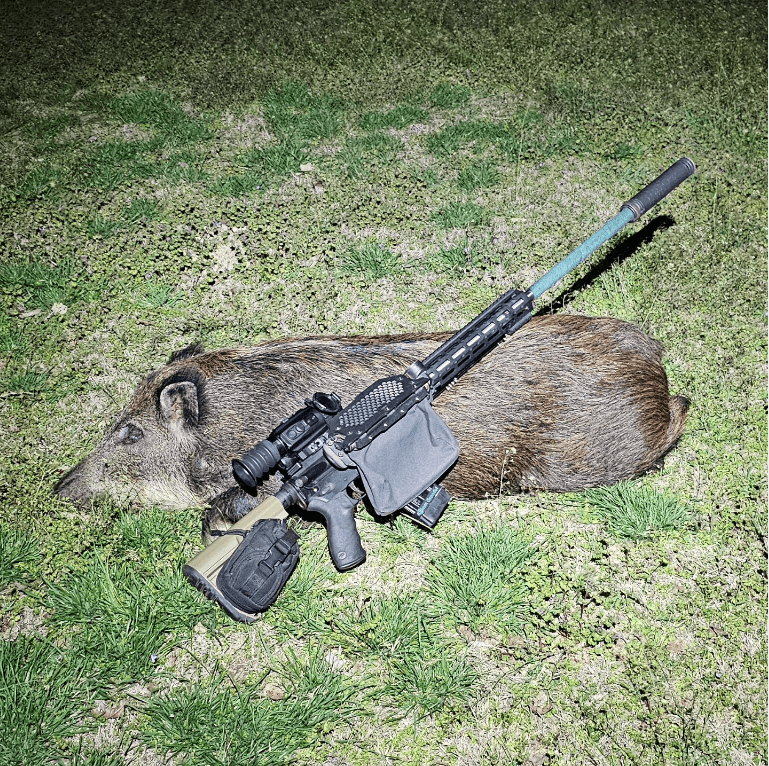 thermal scopes for hog hunting