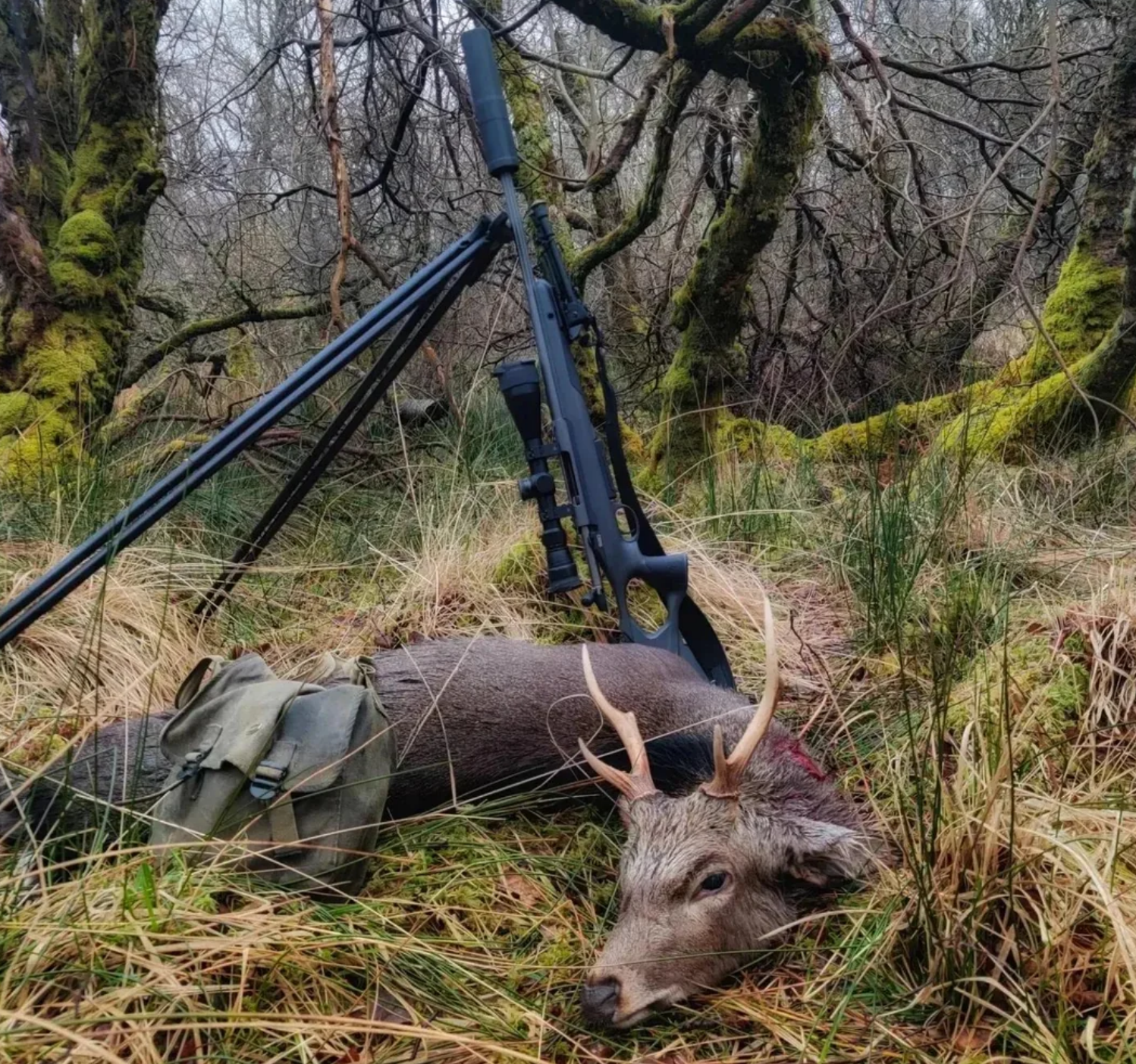 hunter education requirements and certification across U.S. states