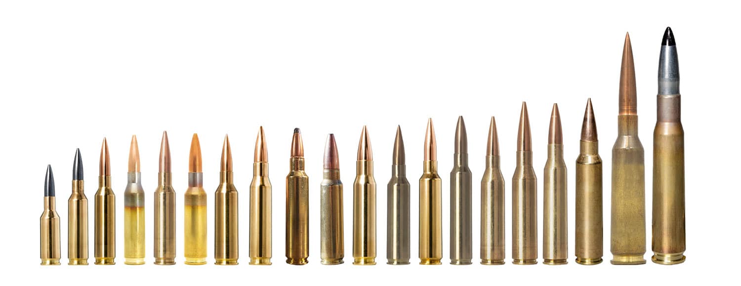 A row of approximately 20 rifle cartridges arranged from smallest to largest against a white background, showing the progression from small rimfire or varmint rounds to large ELR cartridges.