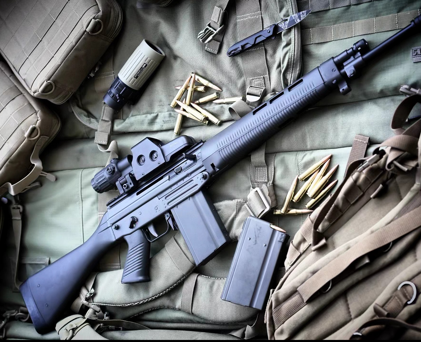SIG 542 rifle