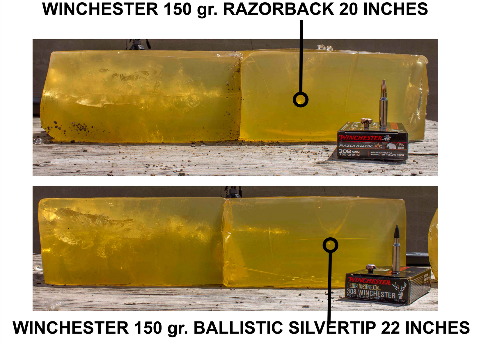 .308 Winchester hunting loads