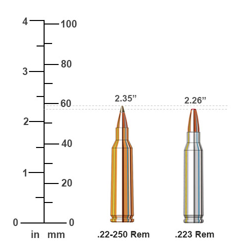 .22-250 for Varmints: Is It Still Relevant?