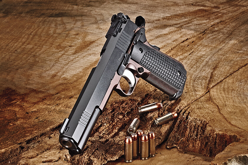 Dan Wesson Bruin 10mm 1911 pistol leaning against a wood stump with loose 10mm cartridges in the foreground