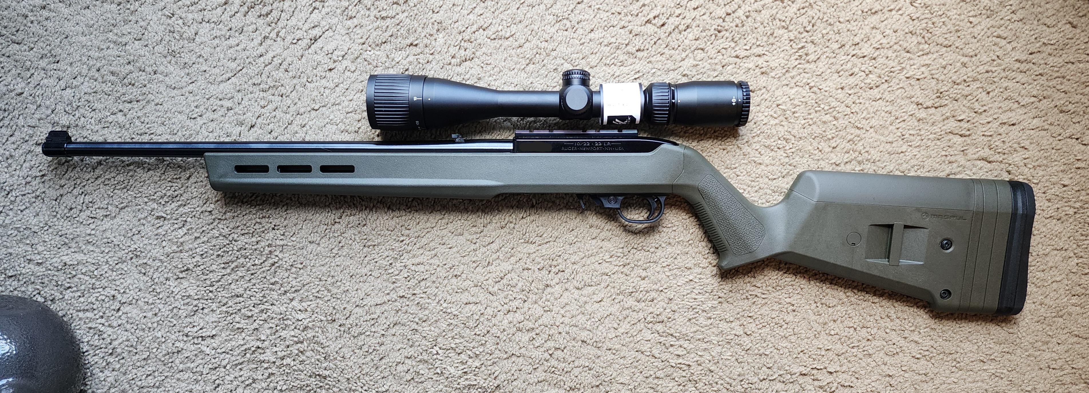 Ruger 10/22