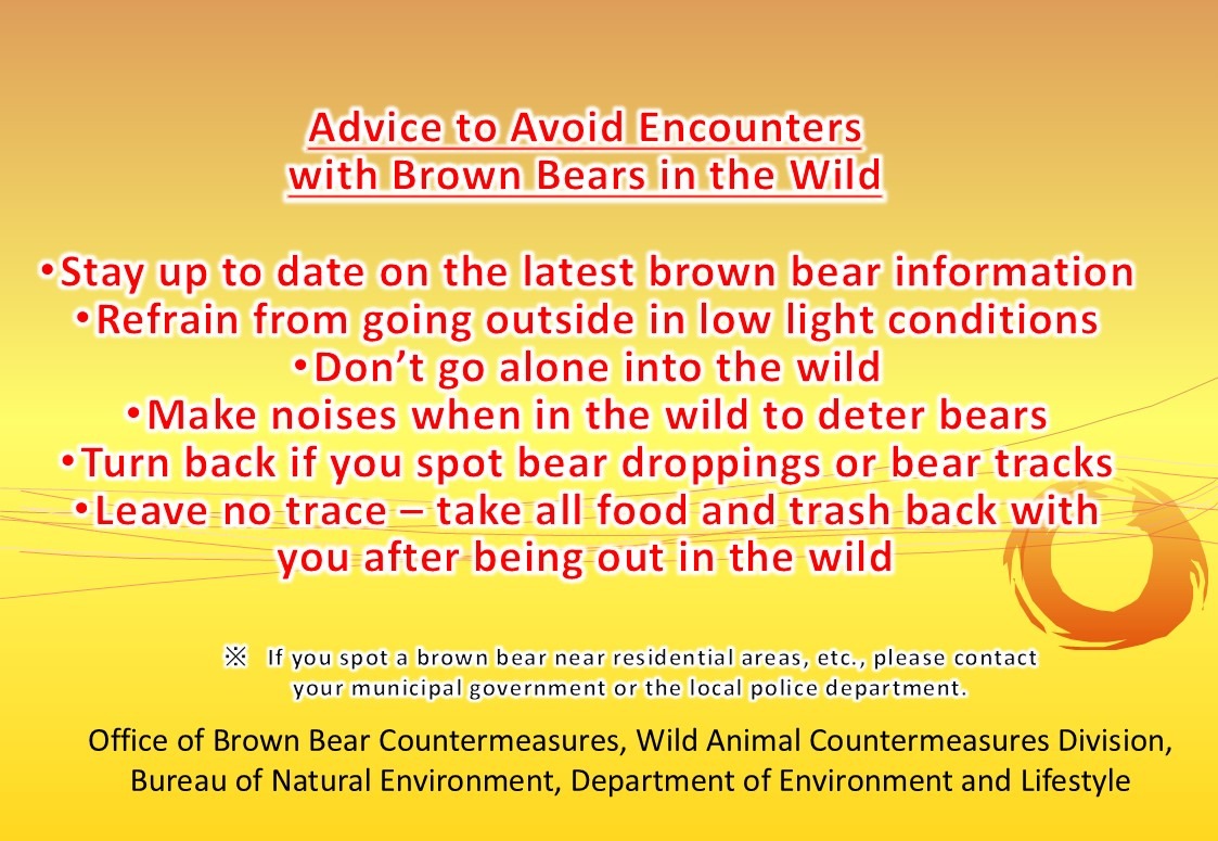 Yellow informational poster titled 'Advice to Avoid Encounters with Brown Bears in the Wild' listing safety tips, issued by Japan's Office of Brown Bear Countermeasures.