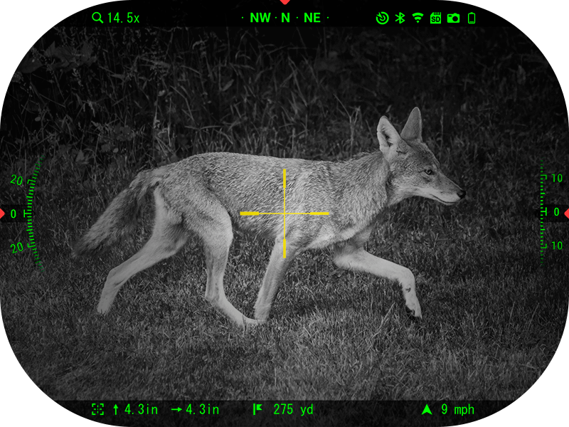 Night vision scope display showing a coyote at 275 yards with crosshair overlay, digital zoom at 14.5x, and HUD data including speed and compass heading.