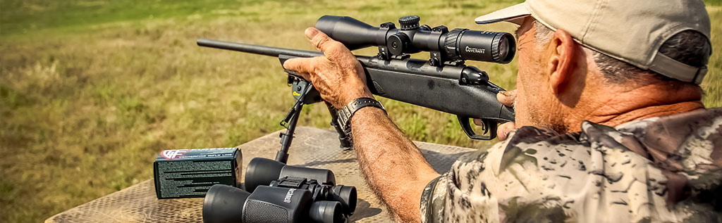 .22 WMR vs .17 HMR rimfire cartridges