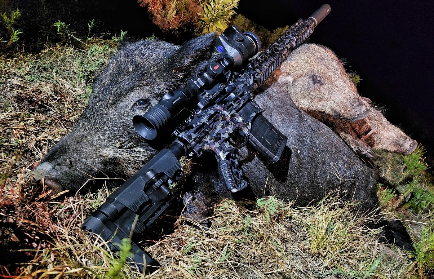 Best Semi-Auto .308 Rifles Under $1,500 for Hog Control