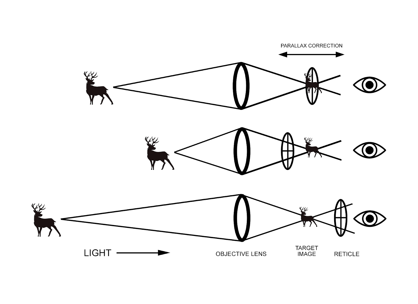 parallax adjustment on rifle scopes