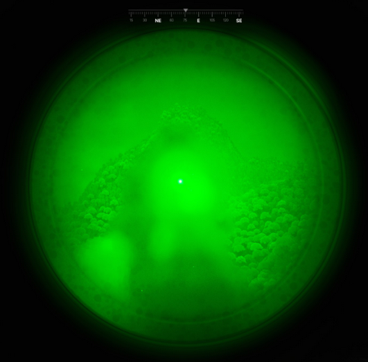 night vision compatible optics