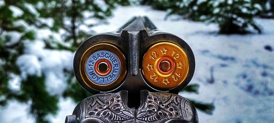 shotgun loads for waterfowl hunting