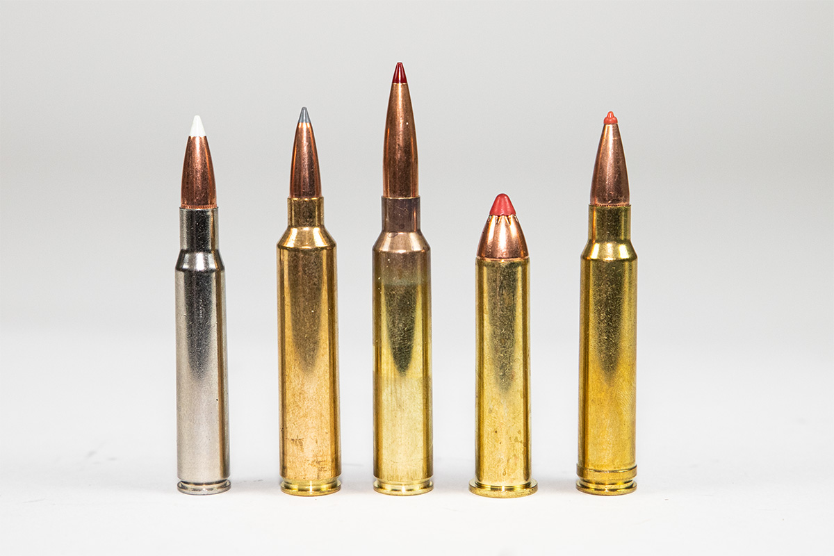 Five rifle cartridges of varying sizes standing upright side by side, showing differences in case length and bullet type including polymer tips and spitzer projectiles.