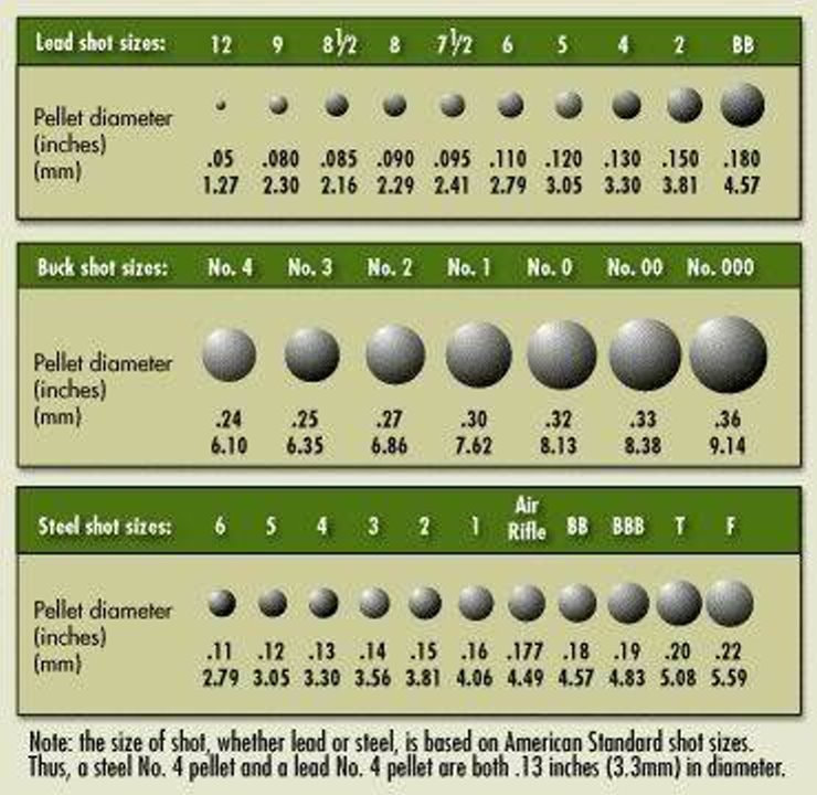 Chart comparing lead shot sizes #12–BB, buckshot No.4–000, and steel shot sizes 6–F with pellet diameters in inches and mm.