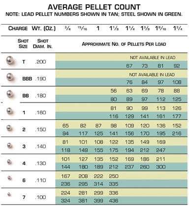 Shotshell pellet count chart comparing lead and steel loads by shot size and charge weight, ranging from T shot to #7 shot.