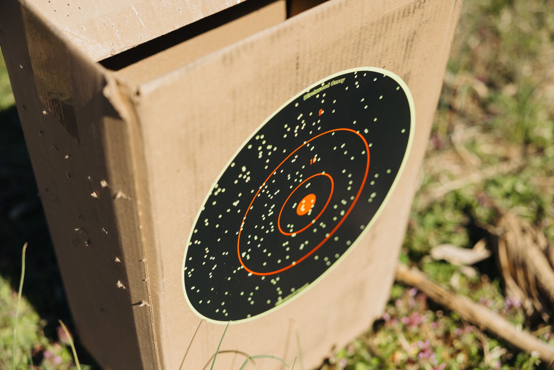 Birchwood Casey shooting target on cardboard box showing scattered pellet hits from shotgun patterning test