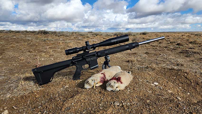 prairie dog hunting equipment